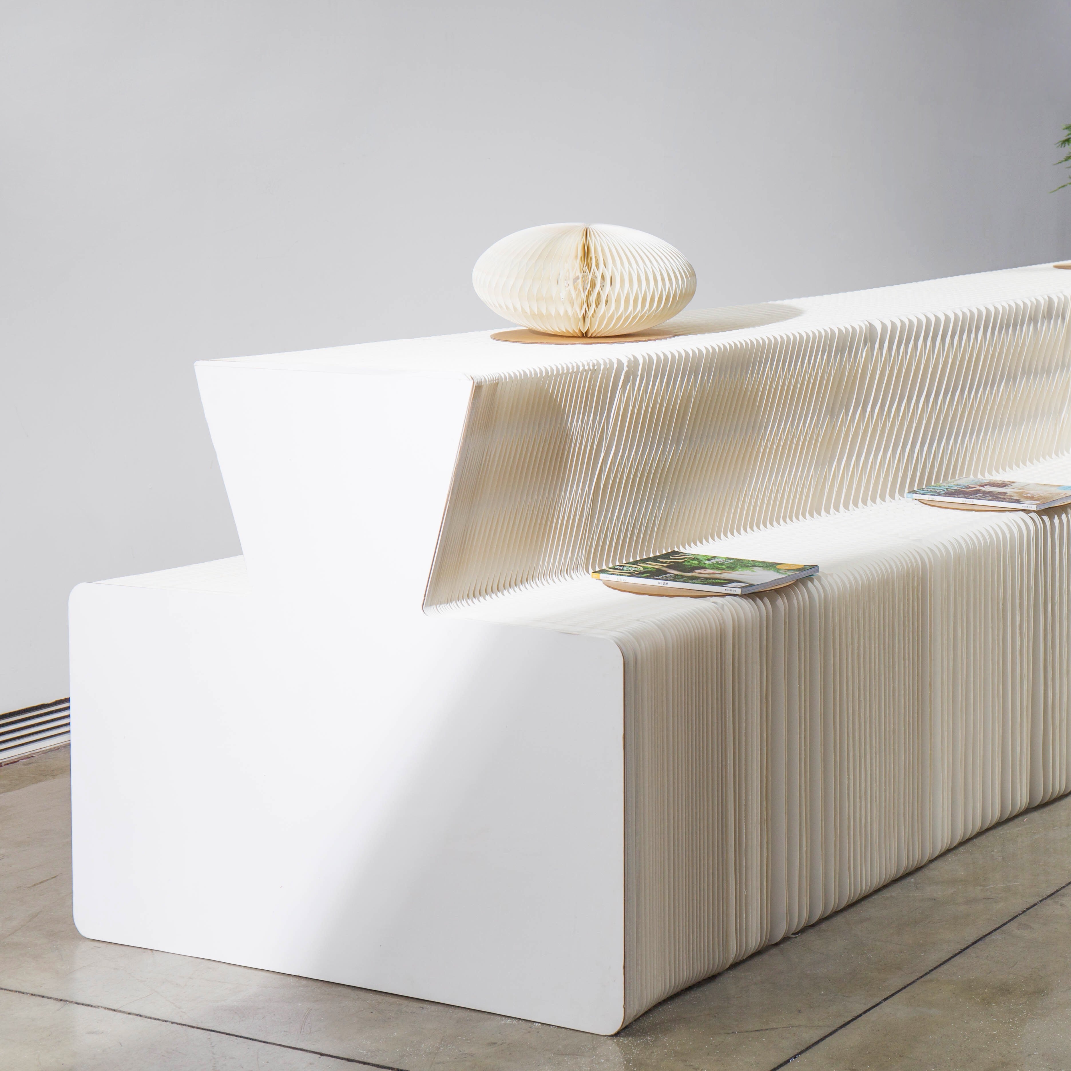 Double Sided Convex Display- White